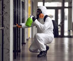 Asbestos and Lead Testing During Mold Inspection in Talent, OR